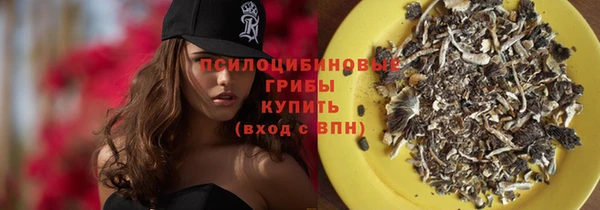 дживик Зеленодольск