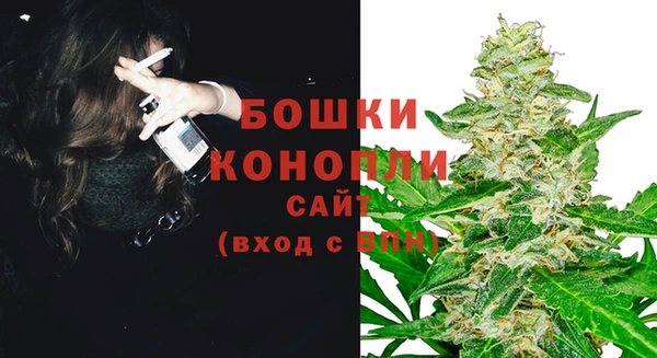 дживик Зеленодольск