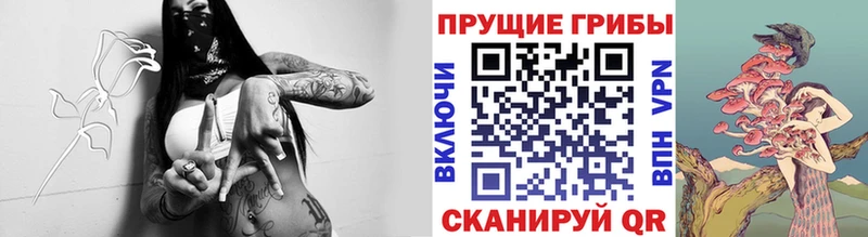 Купить закладки  Верхотурье  Галлюциногенные грибы мицелий 